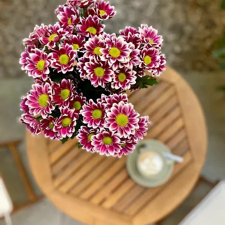 Officyna Appartamento *