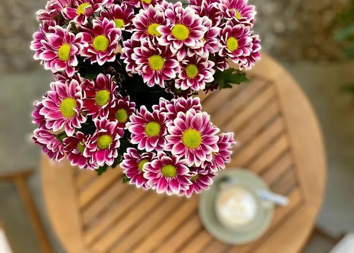 Officyna Appartement *