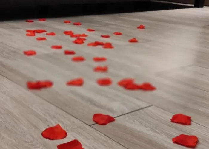 Apartment Officyna Poznan